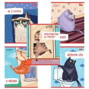 Тетрадь А5 48 л., HATBER скоба, линия, обложка картон, «Кот-обормот» (микс в спайке), 080206, 48Т5В2