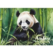 Альбом для рисования 40л. на склейке «Большая панда»,  блок - офсет 100г/м